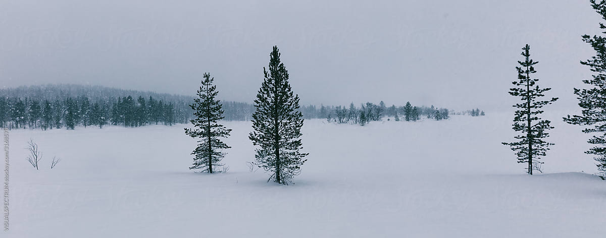 Frozen Lake Dark Snowfall Mood