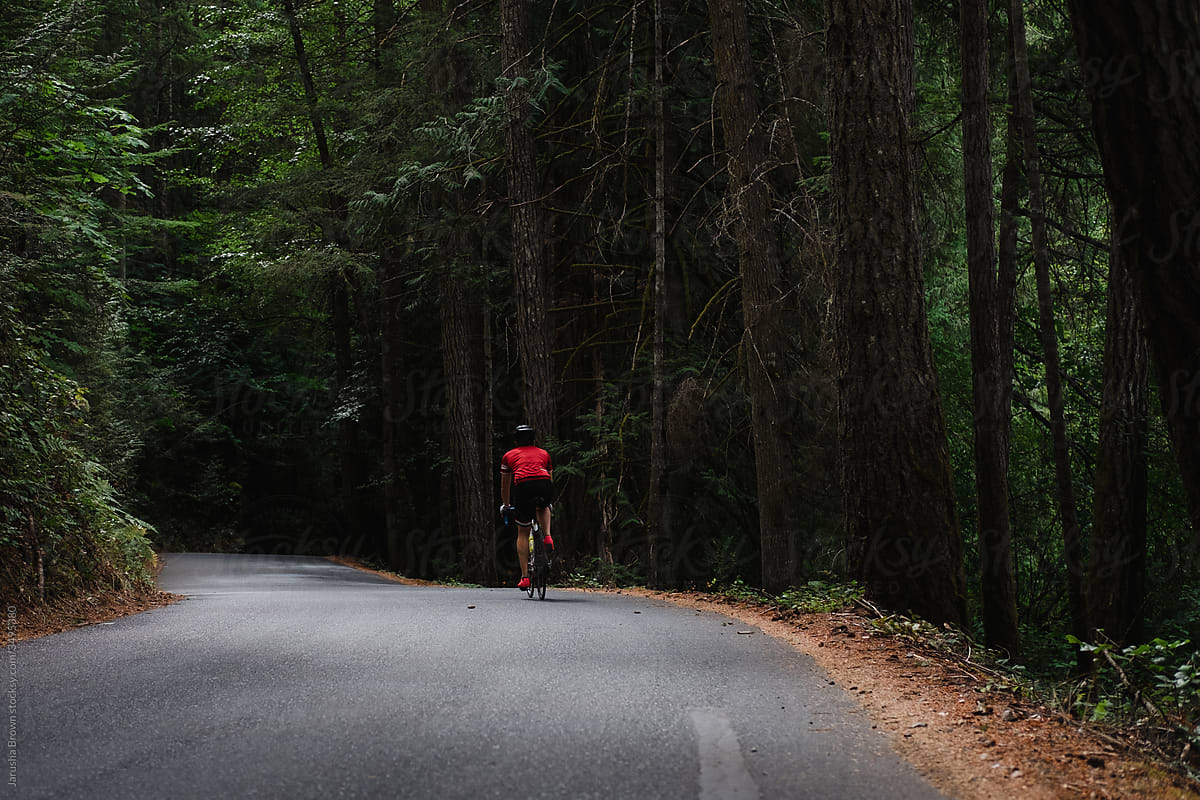 Man in red jersey cycles along empty road in the forest.