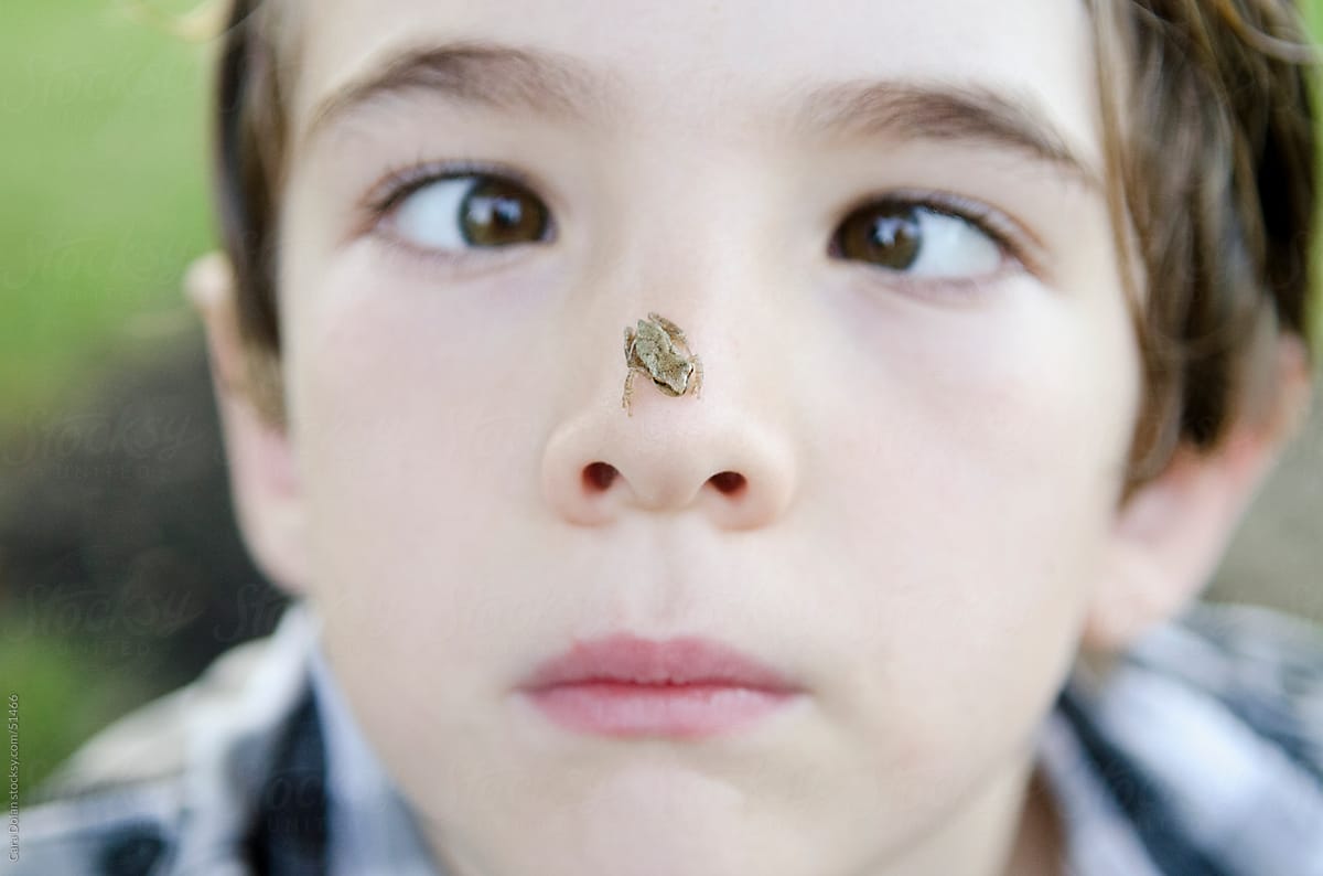 Boy Goes Cross Eyed As He Examines A Small Frog On His Nose» del  colaborador de Stocksy «Cara Dolan» - Stocksy