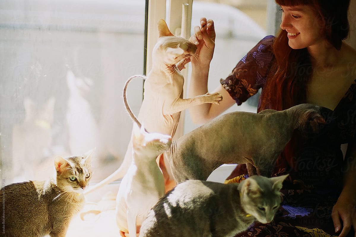 Happy young  woman among cats