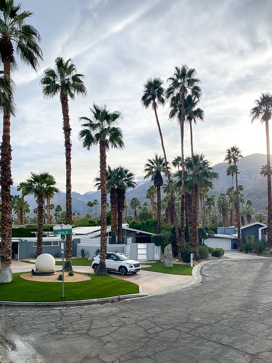 Residential street in Palm Springs