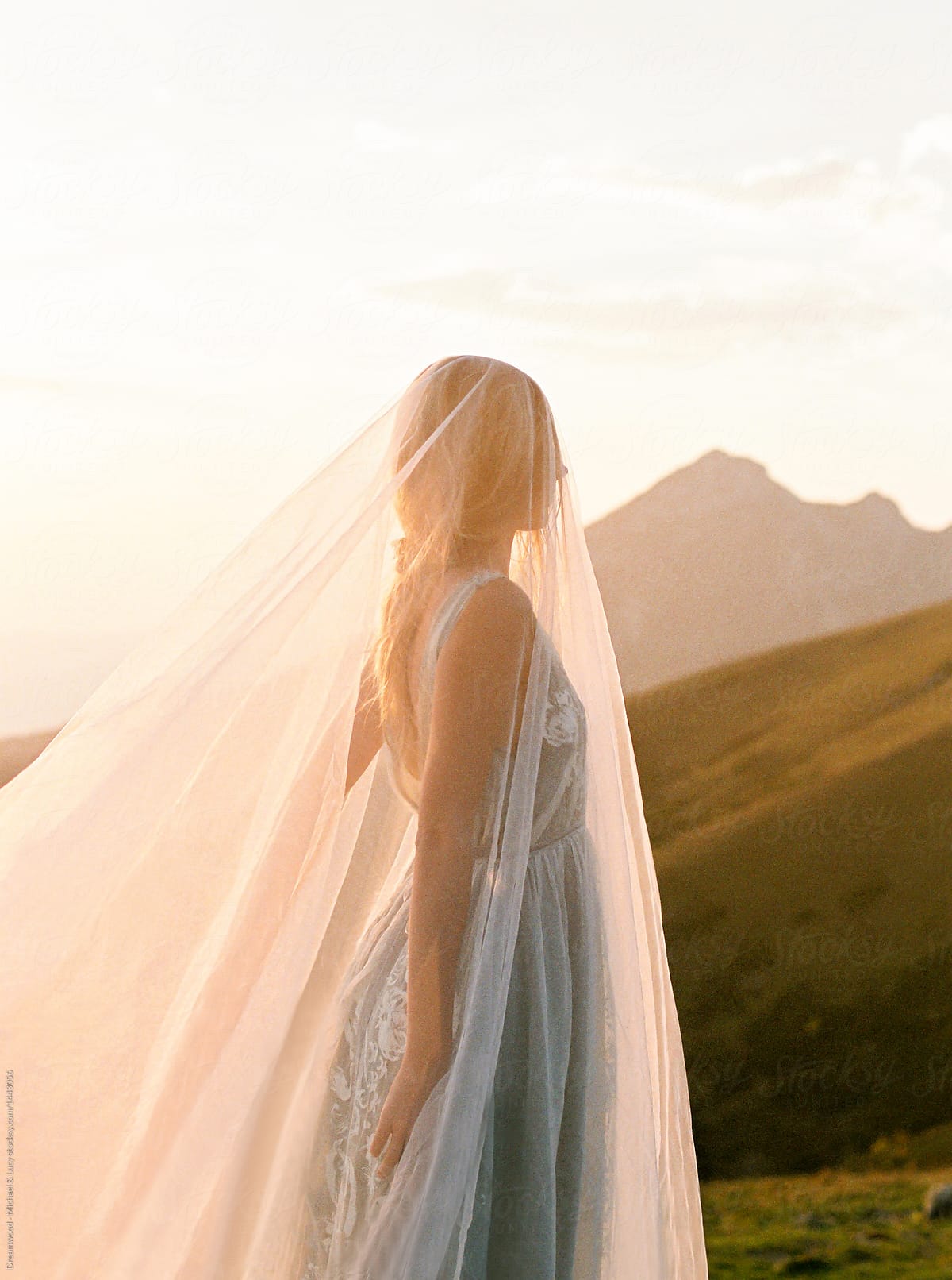 Woman in dress and veil on nature