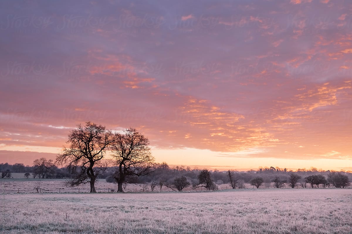 Frost covered field at sunrise. Cressingham, Norfolk, UK.