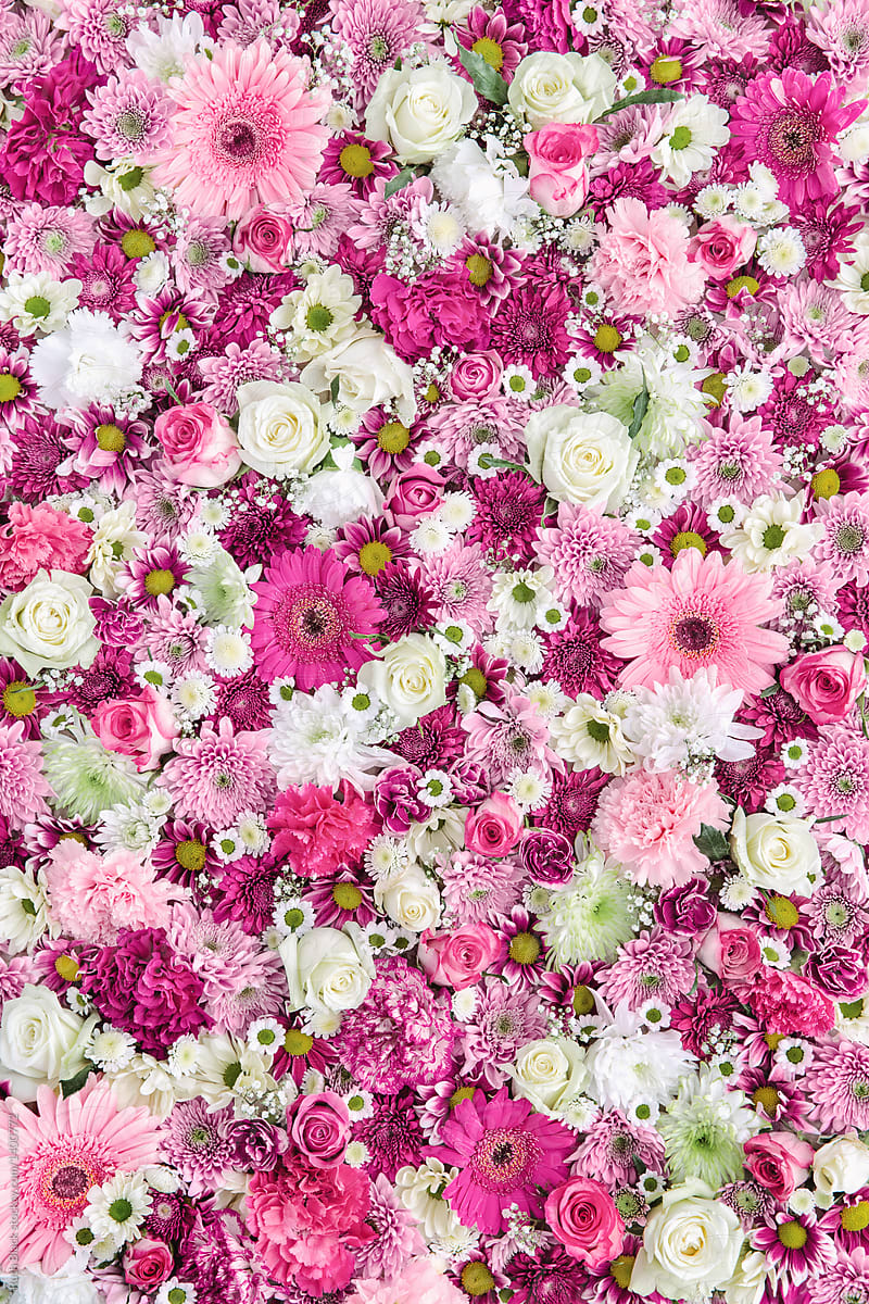 Flower Wall Background by Ruth Black - Flower, Background