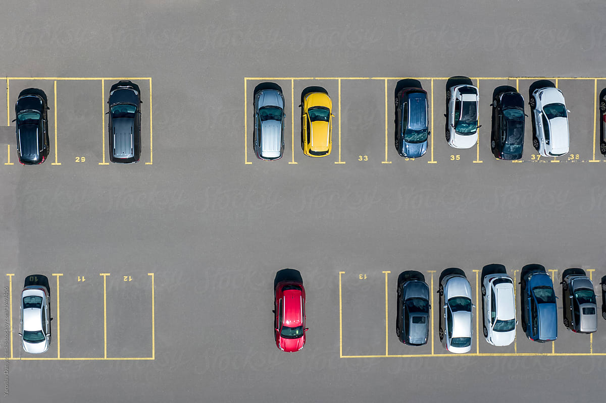 Modern cars parked on marked and numbered parking lot