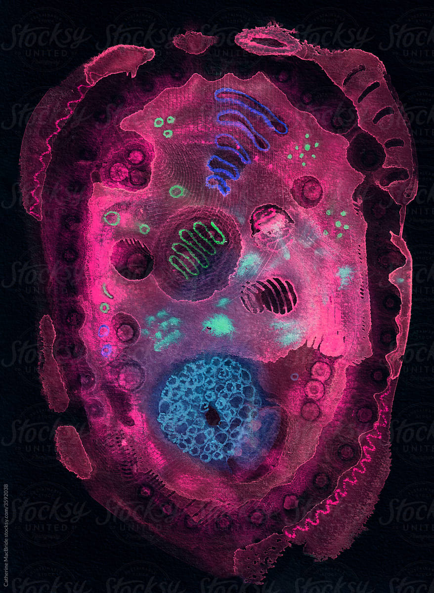 Cell Structure, a watercolour and gouache painting