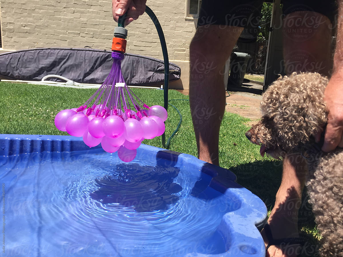 A dog with water balloons