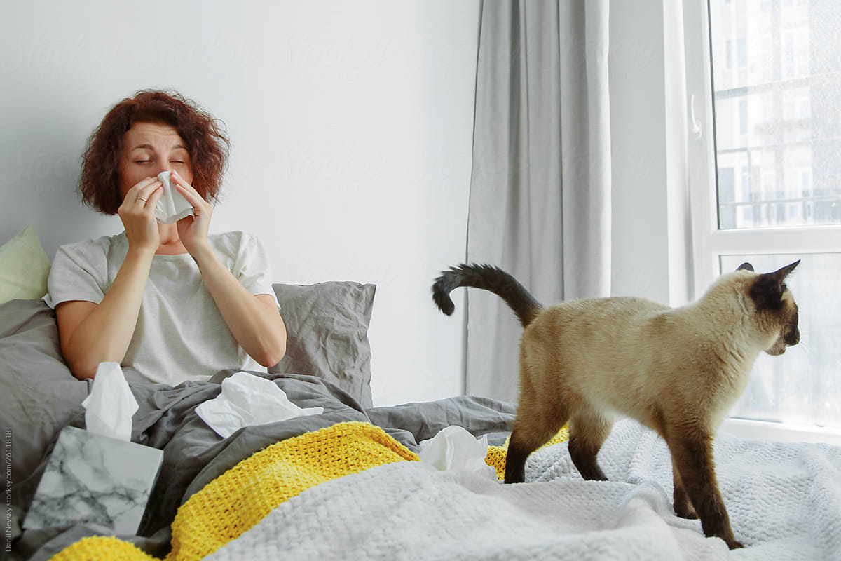 Sick lady sneezing near cute cat
