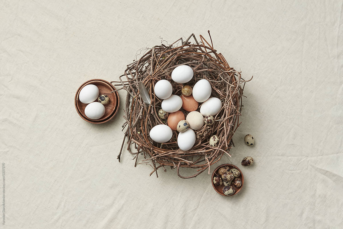 Chicken and quail eggs in nest and bowls.