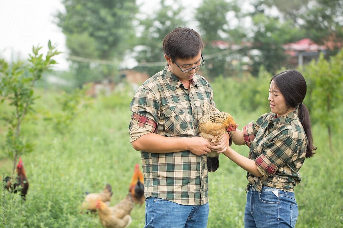 Two farmers holding chicken