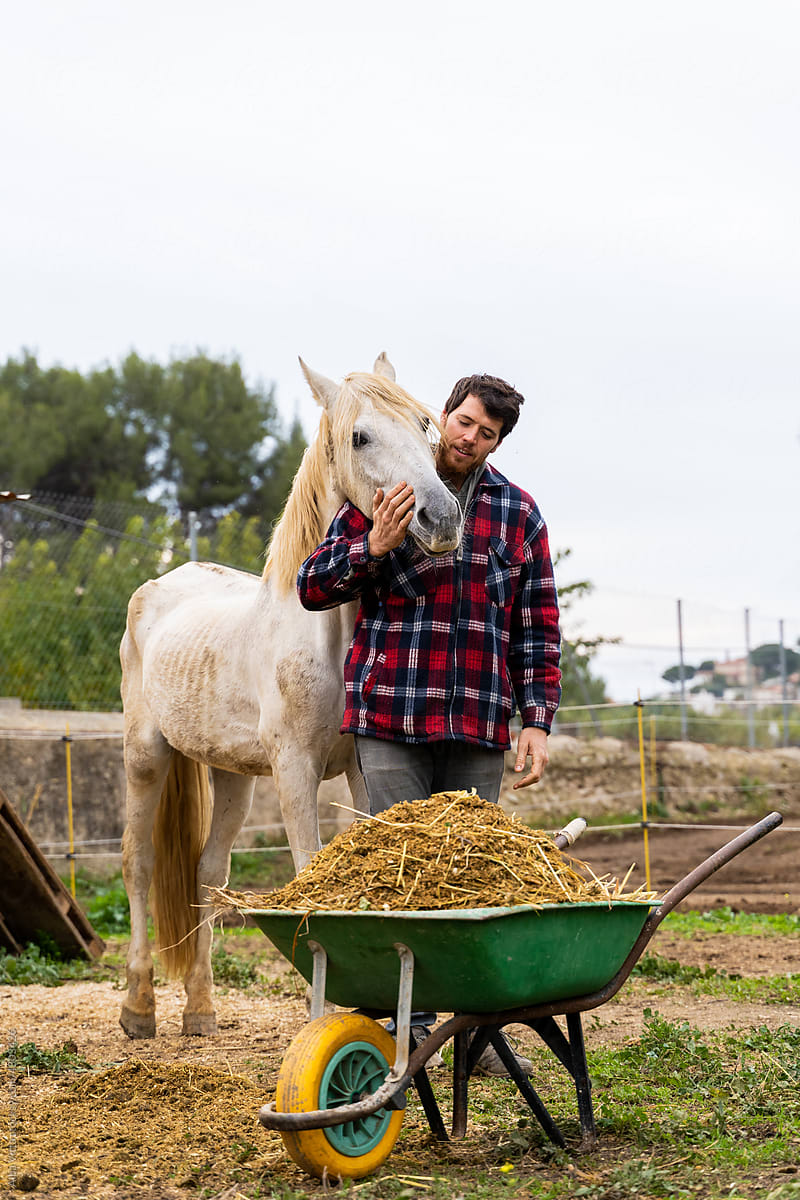 Man taking care of horse