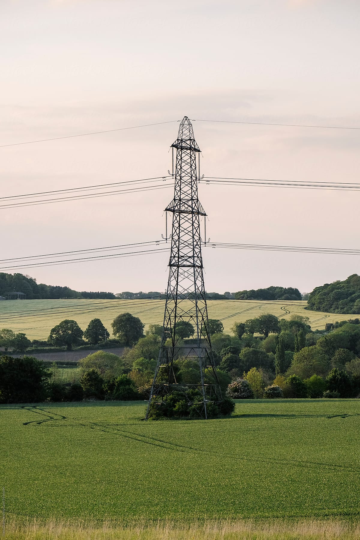 Electricity pylon in a rural location at sunset. Norfolk, UK.