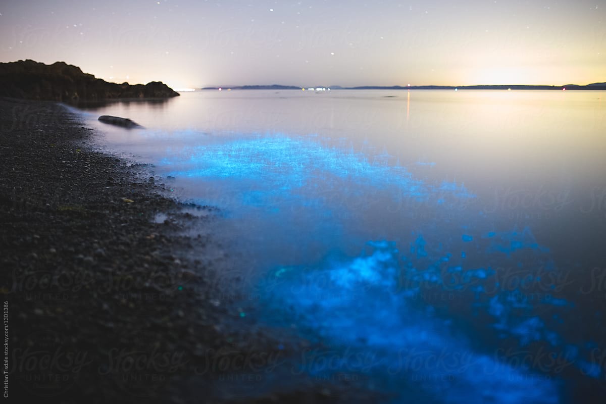 Bright blue bioluminescence glowing on the shore of the ocean at night