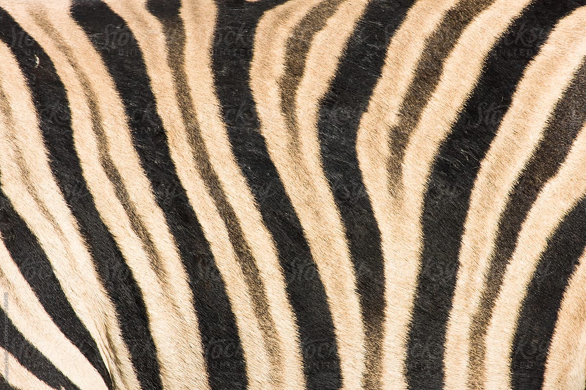 Zebra striping