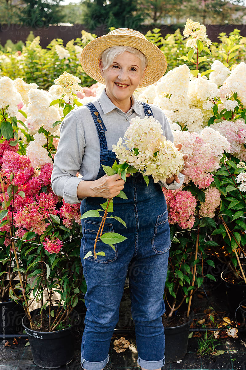 Senior woman with hydrangeas at nursery garden