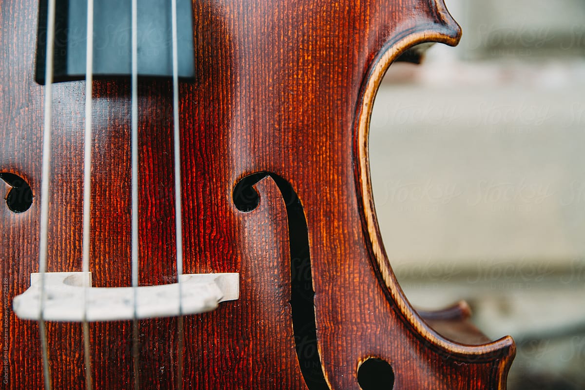 Cello Bridge With Strings