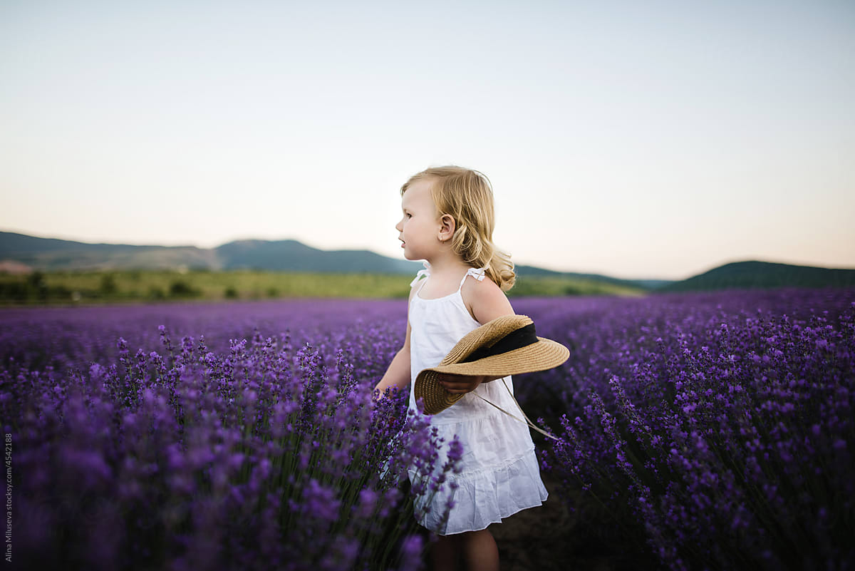 Standing in purple blooming lavender field