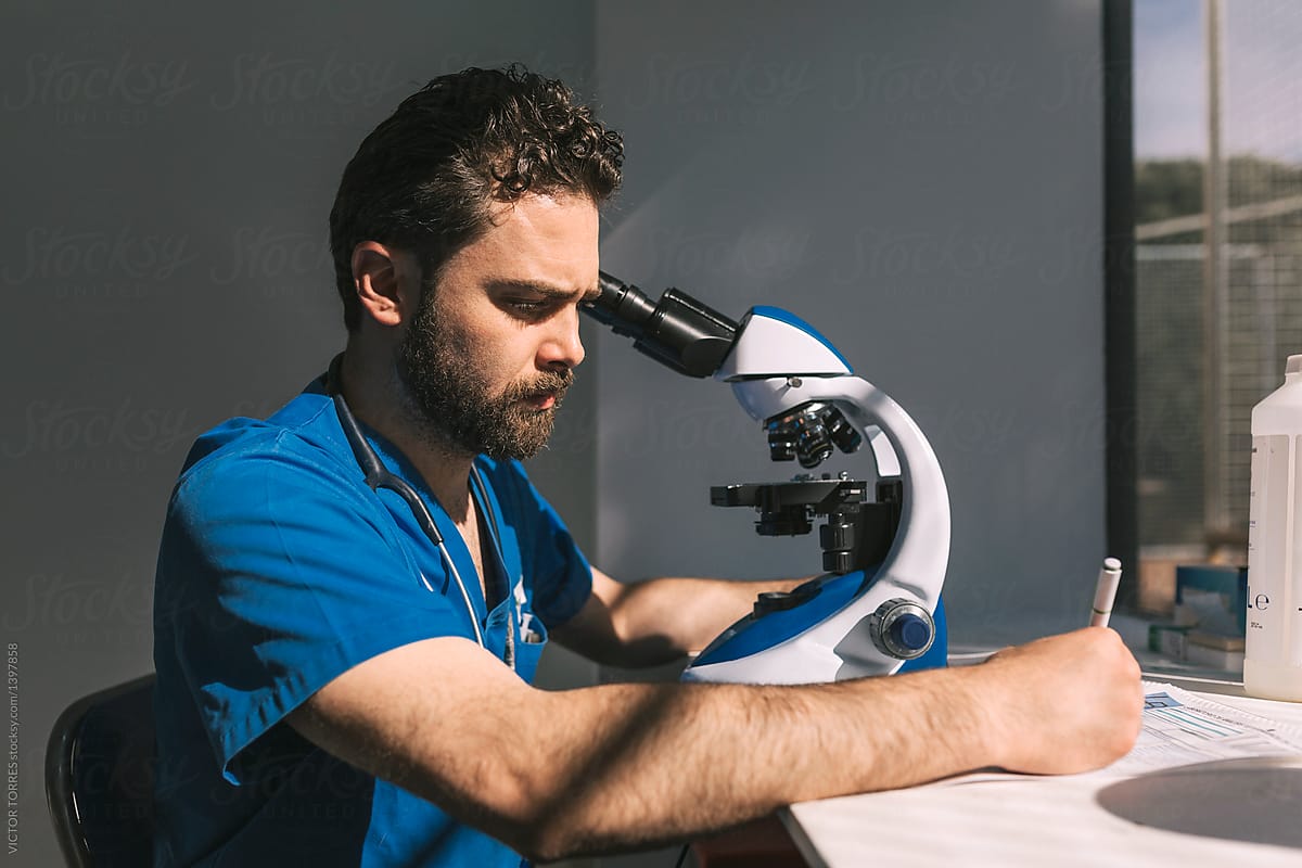 Veterinary working with a microscope and taking notes