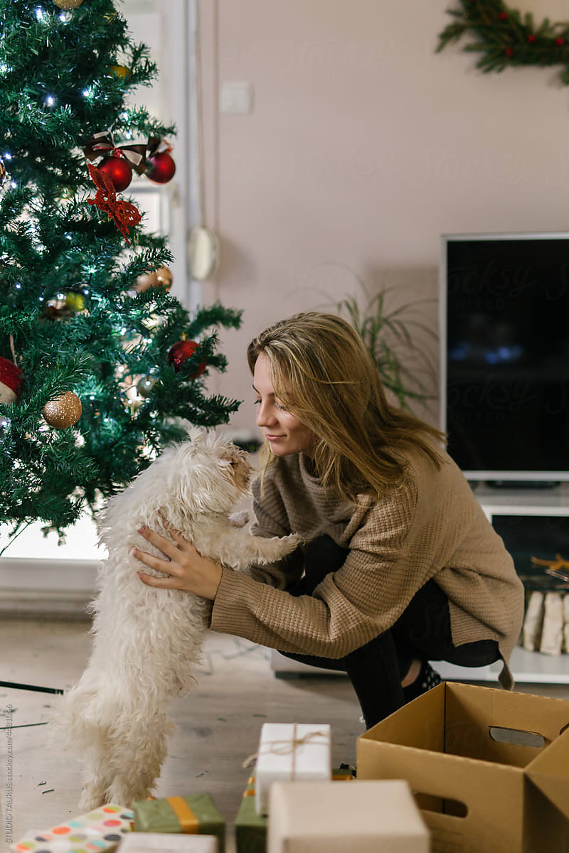 Young woman playing with small dog On Christmas day