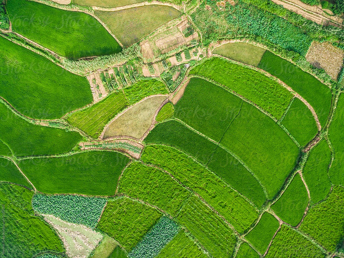 Aerial photography bird-eye view of farm farmland nature landsca by Wenhai ...