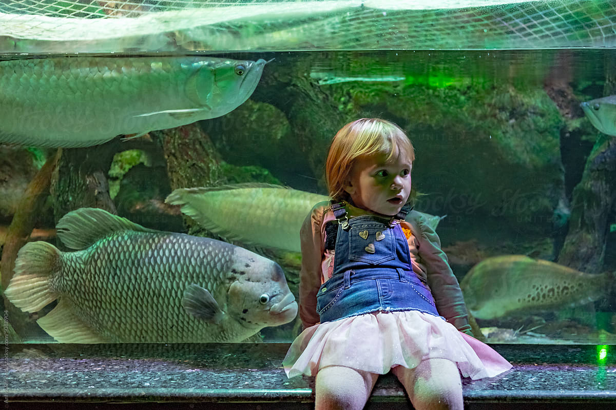 portrait of a girl in front of an aquarium with huge fish , v.1