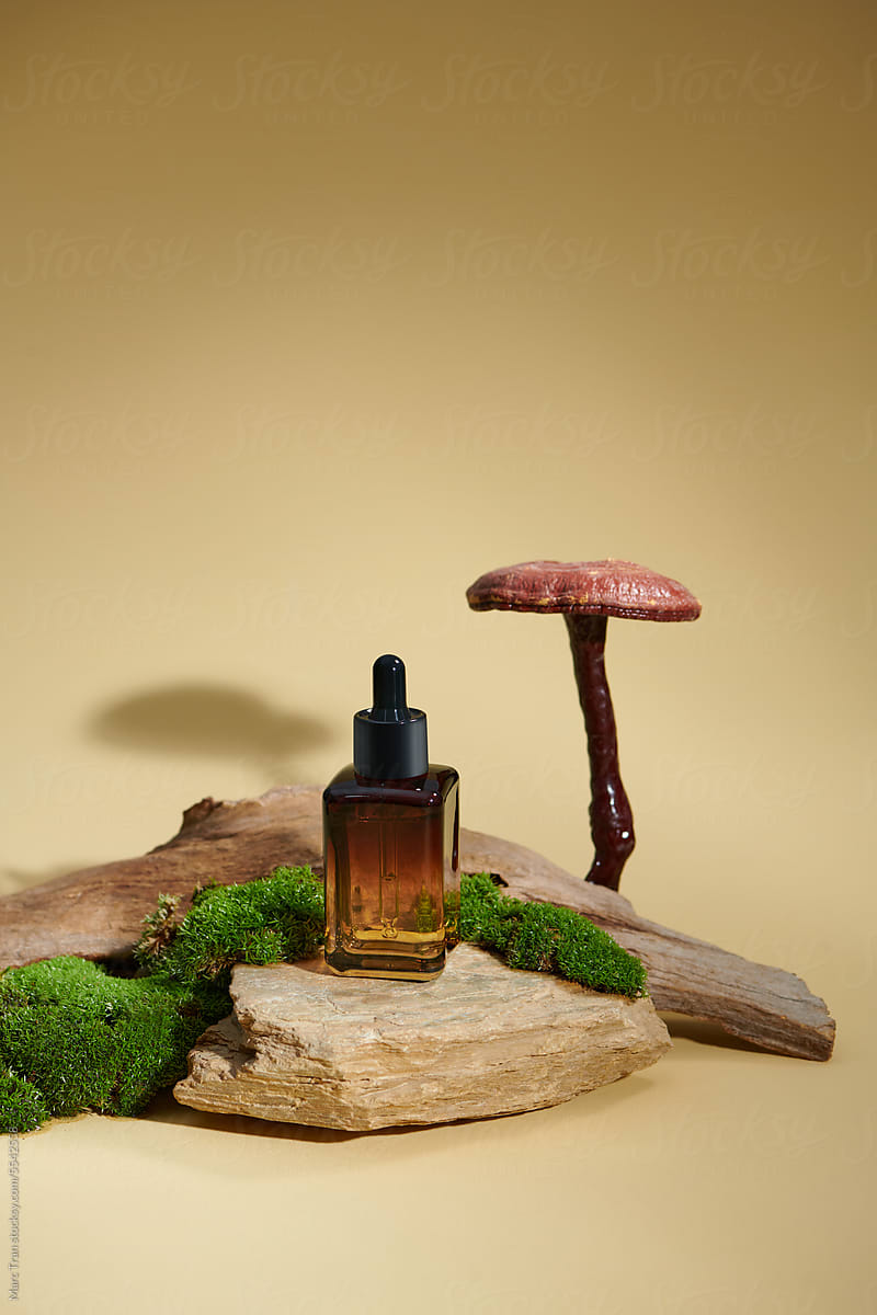 Bottles of organic cosmetic products, green leaves and stones