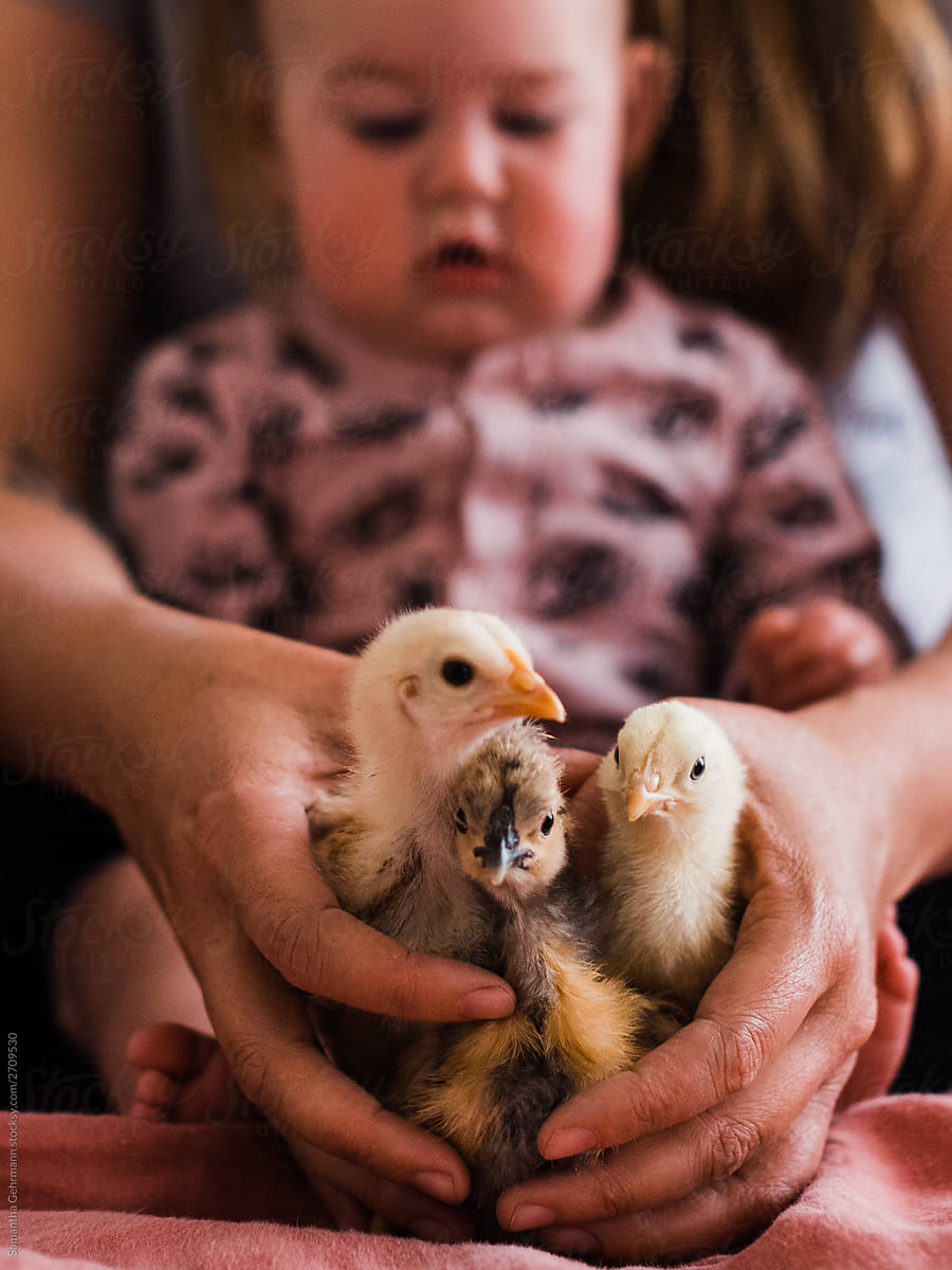a baby girl looks at her new pets