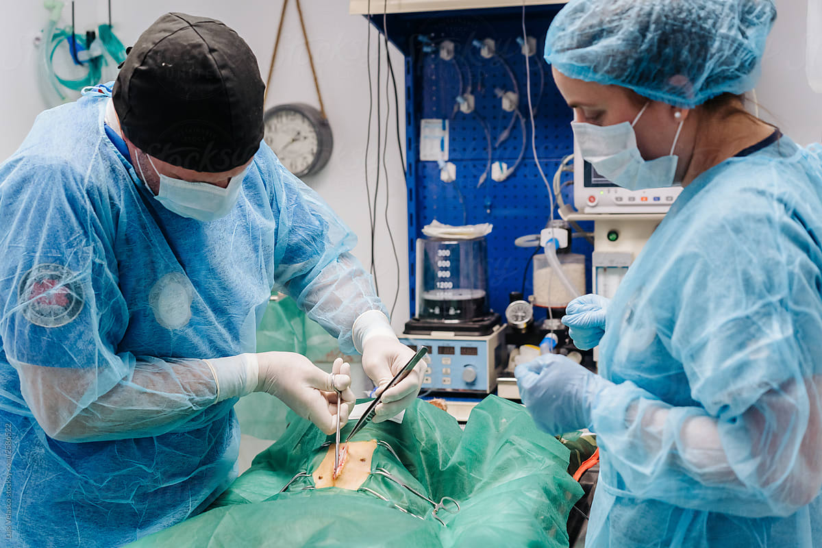 Surgeon And Anesthetist During A Medical Operation.
