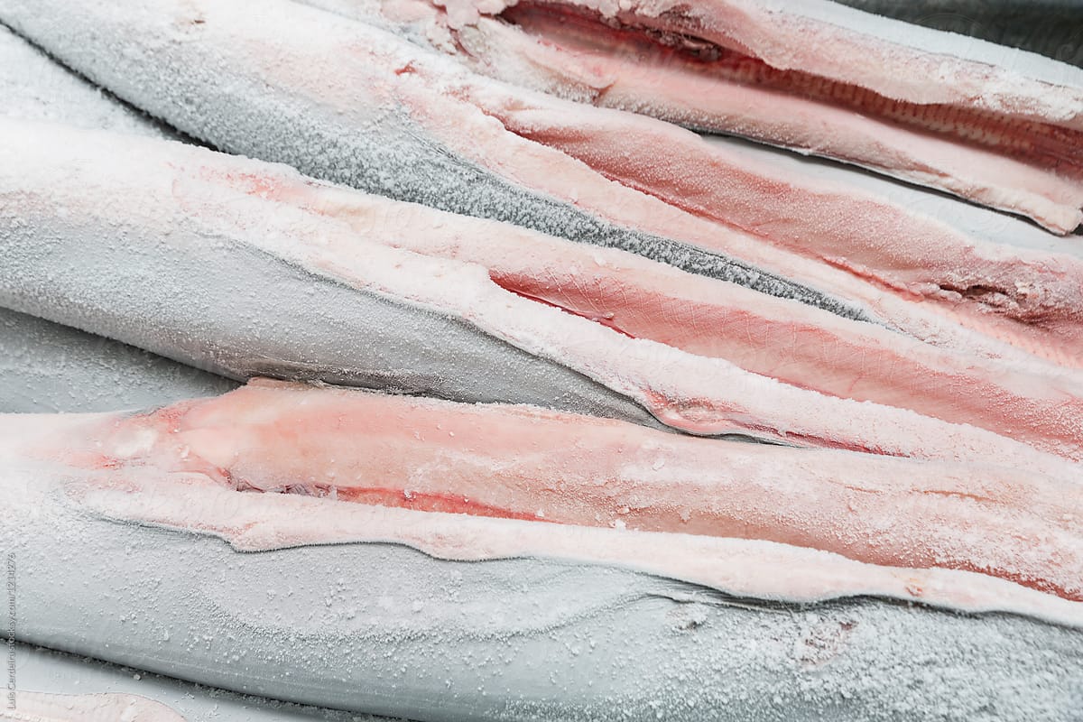 Frozen sharks on a fish market