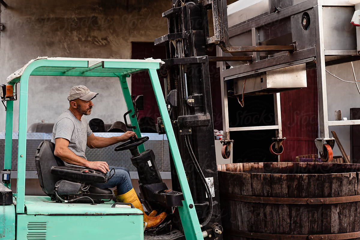 Farmer driving a forklift during the grape harvest