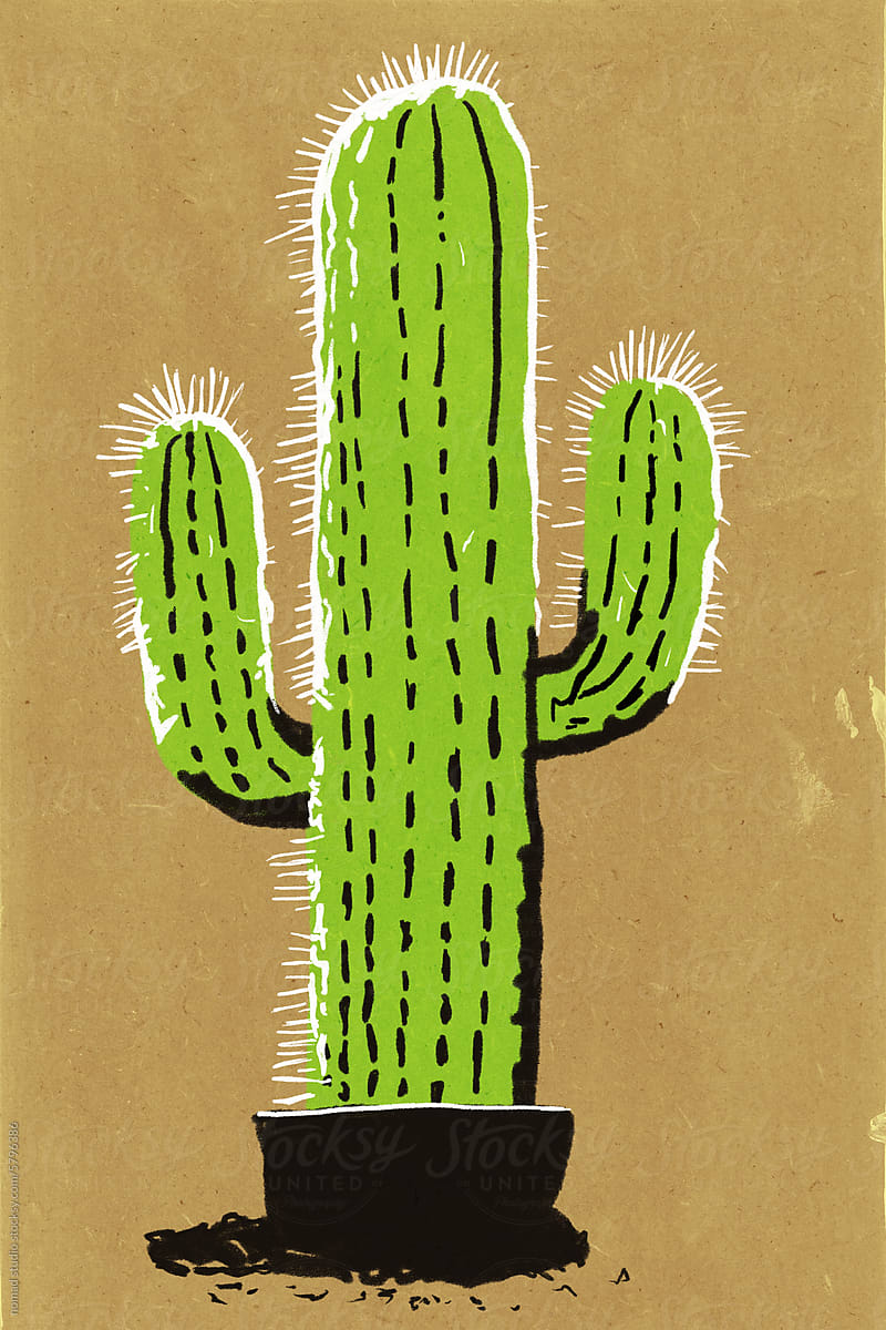 Cactus drawing on old paper background
