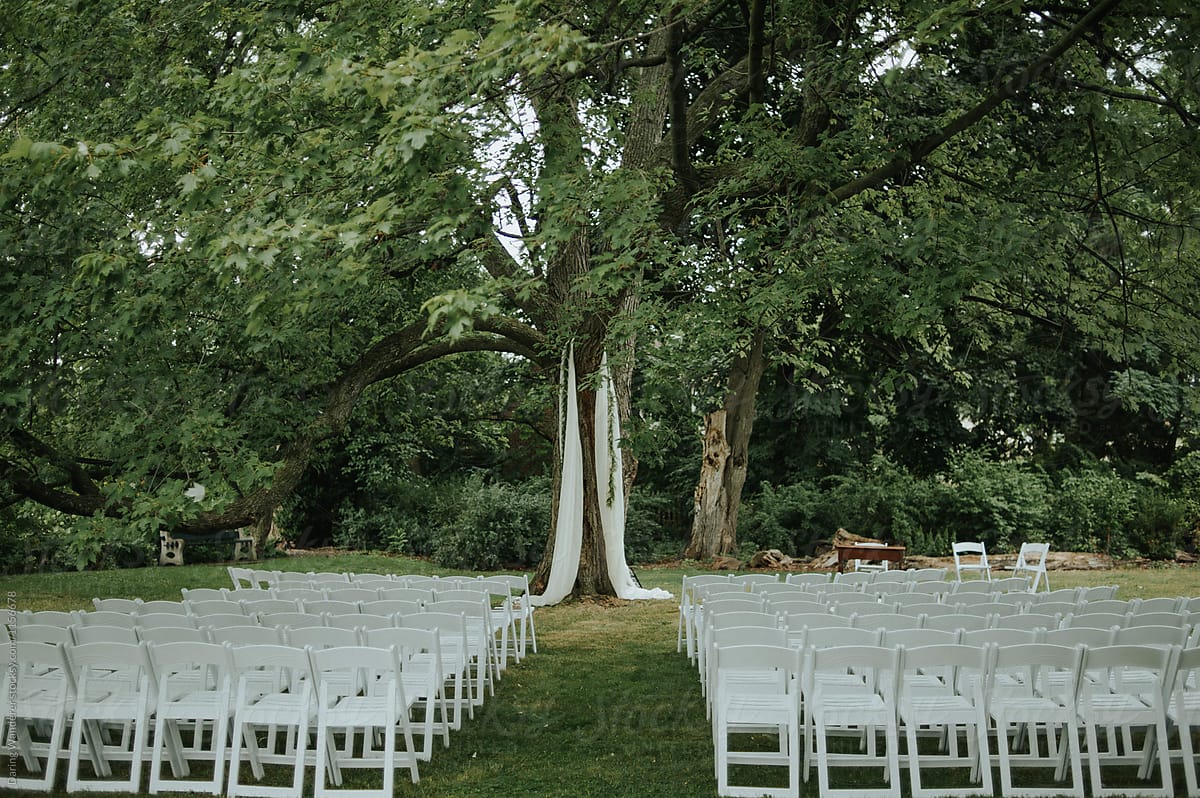 Simple and romantic ceremony set up under a tree in a garden