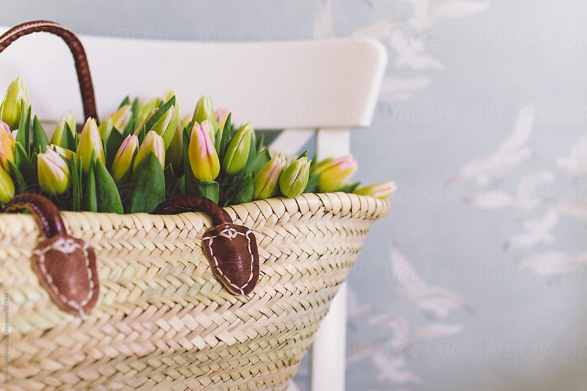 Tulips in a french market basket on a chair.