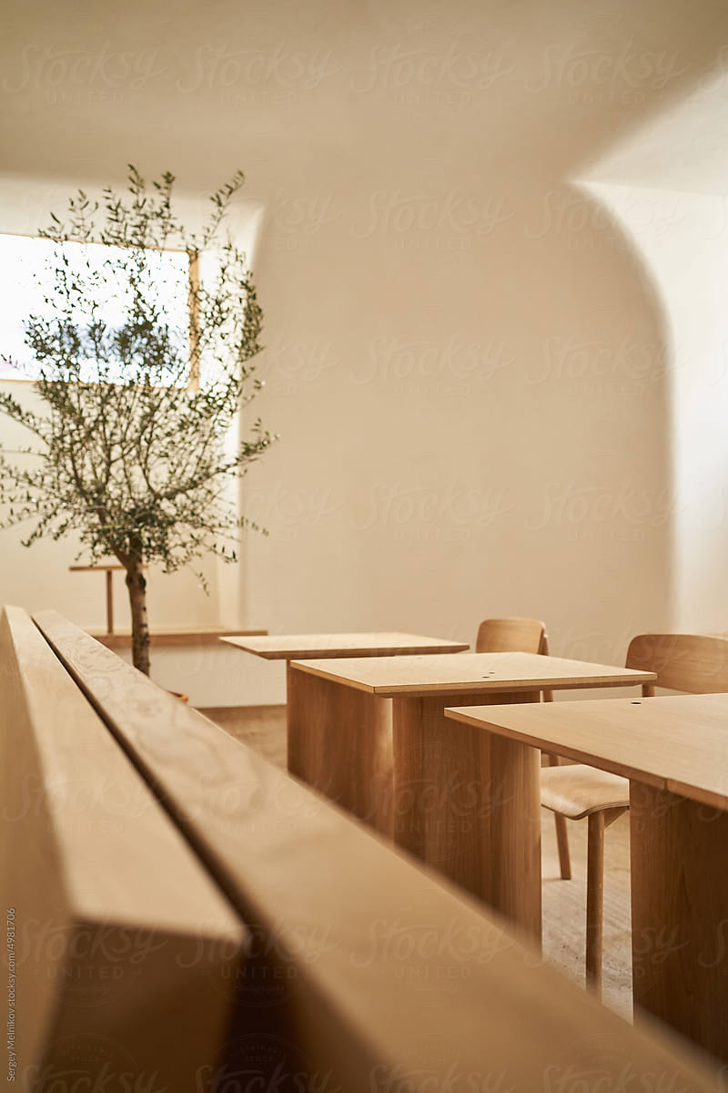 Potted tree on wooden bench in restaurant