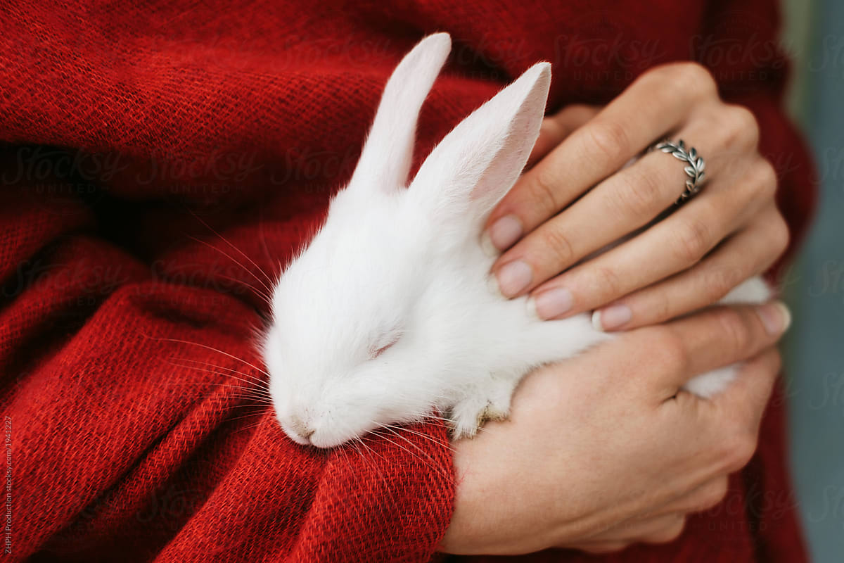 Young woman holds tiny white rabbit