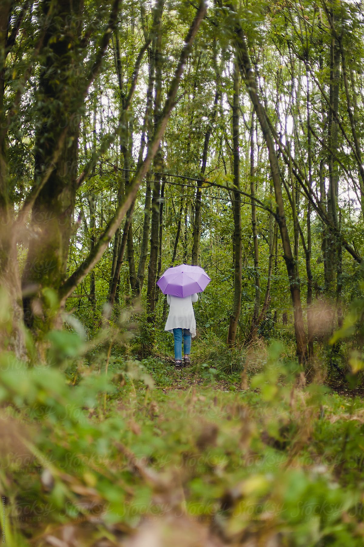 Woman from the back holding a purple umbrella walking in the woods