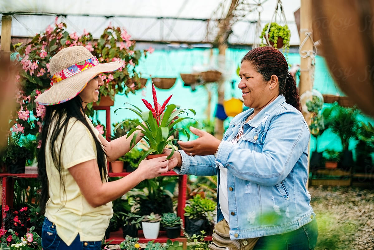 Nursery worker handing over a plant to a customer