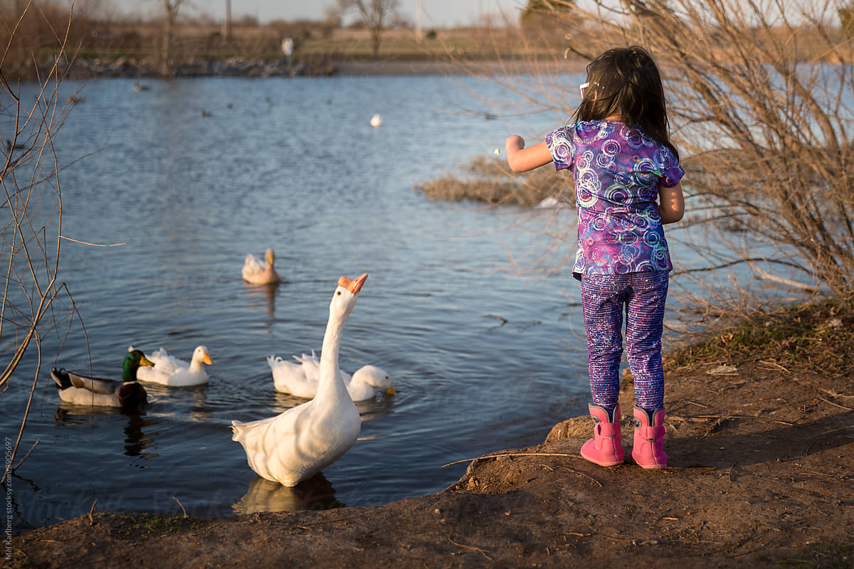 Girl in purple feeding ducks in a pond