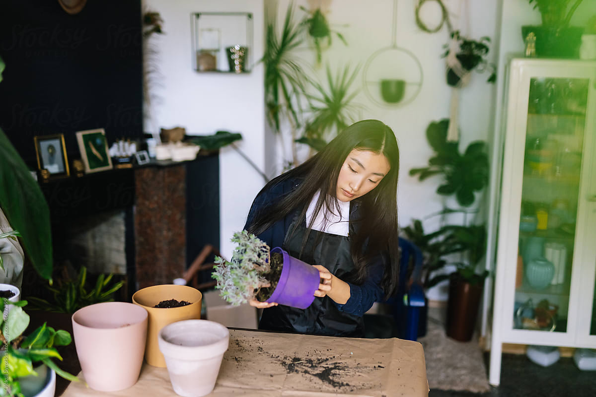 Girl working in floral store and replanting special sort of herbs