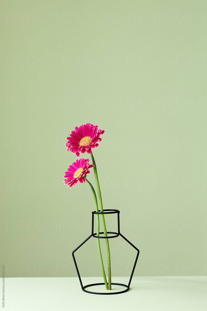 Pink flowers in a silhouette vase