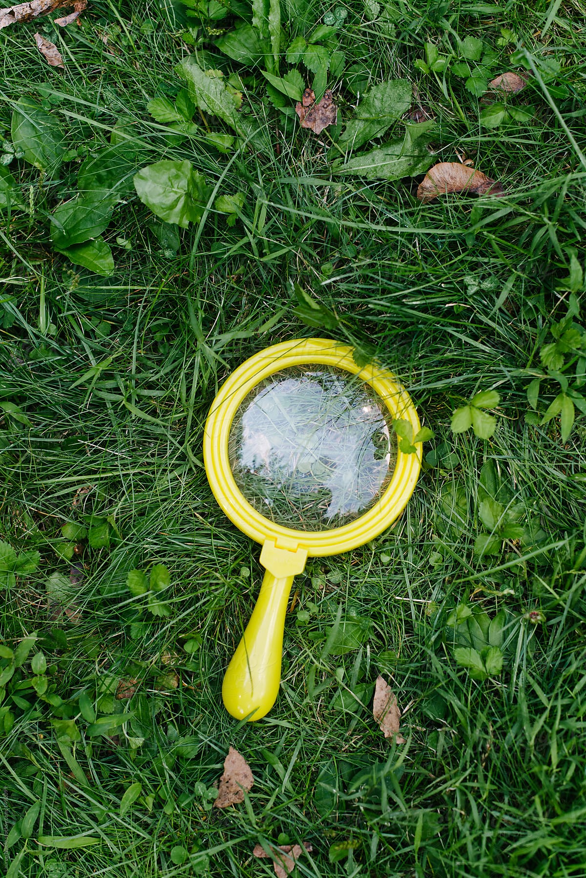 Magnifying glass toy in the grass