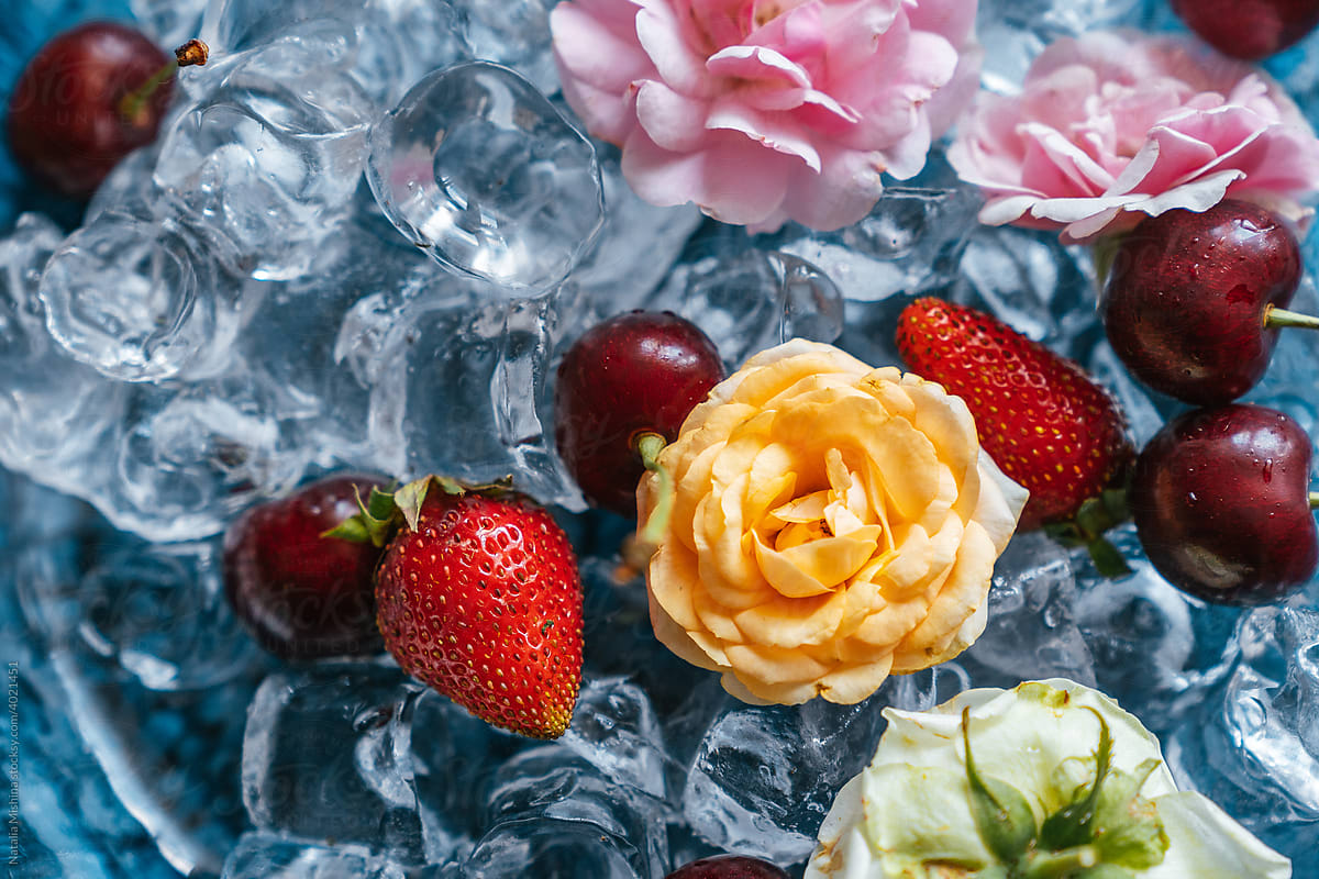 Still life with roses and ripe berries on ice.