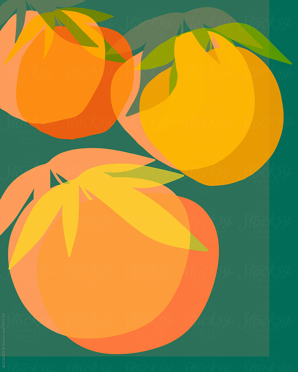Vibrant Abstract Citrus Fruit Illustration