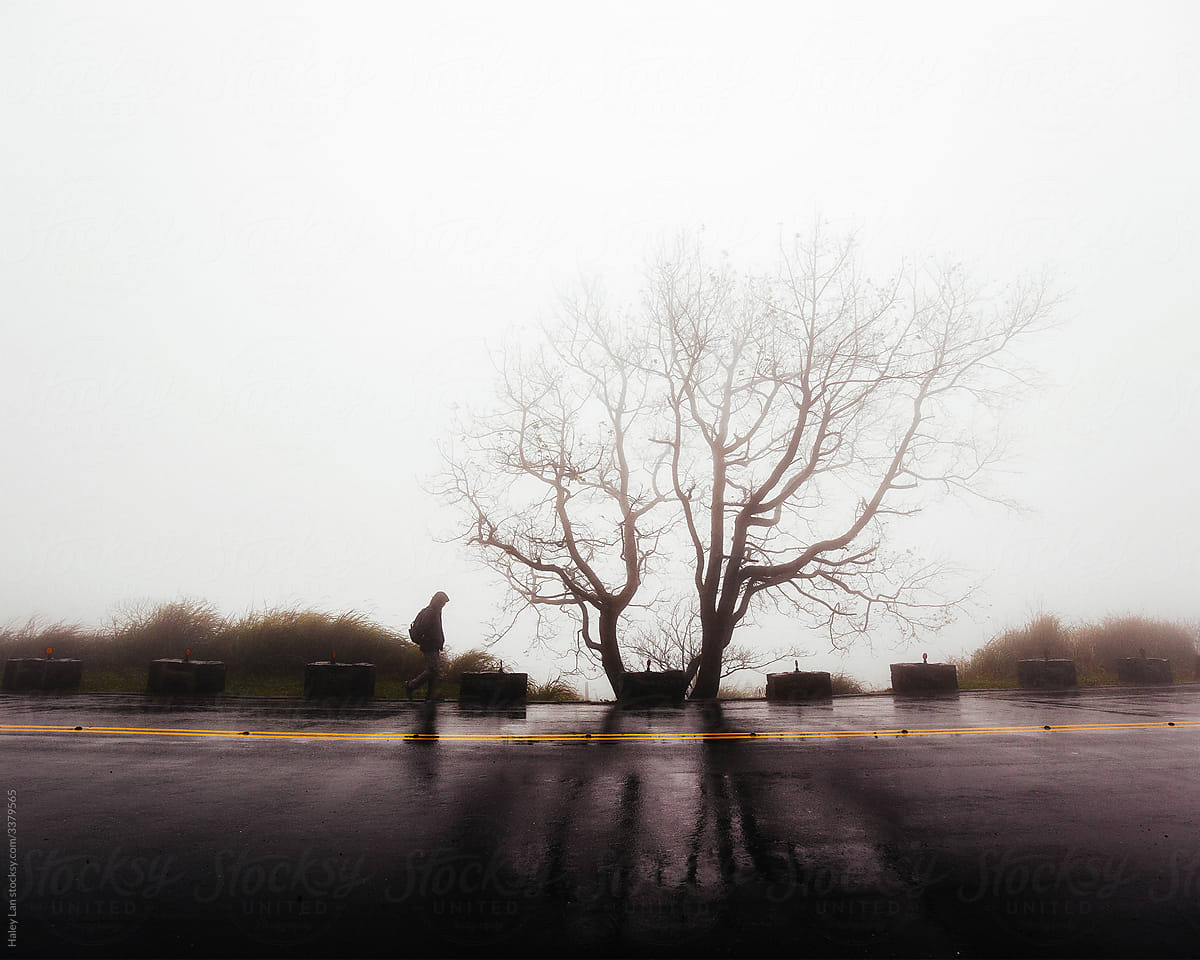 man walking by a tree in the fog