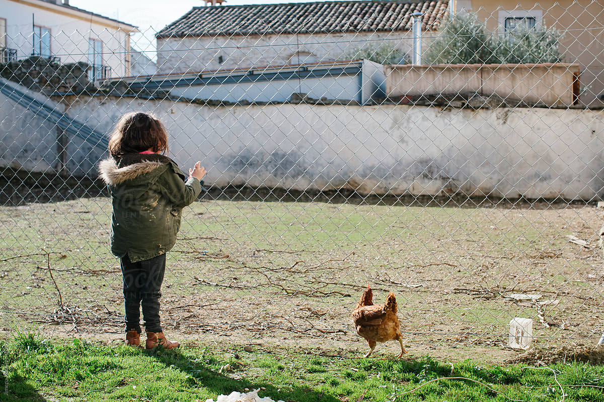 Little girl and chicken