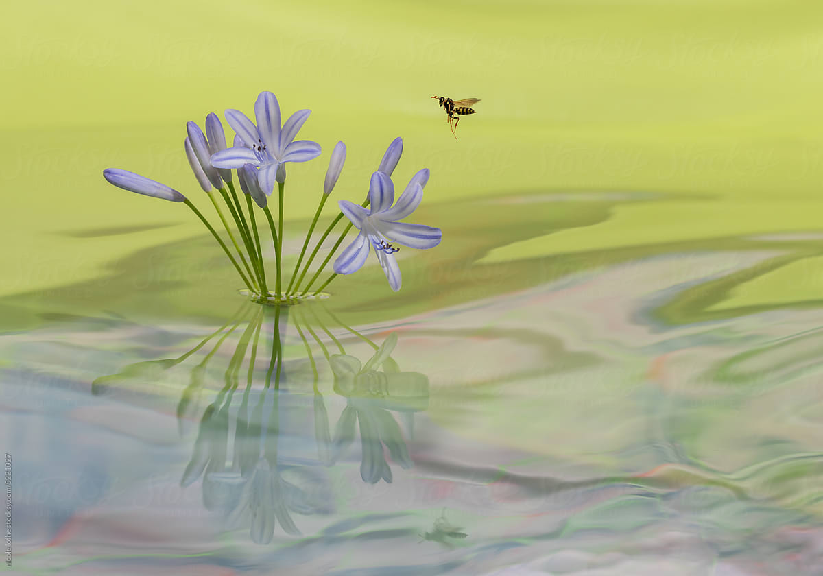 Wasp descending to flower over psychedelic water.