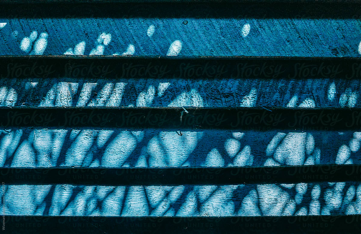 Shadow from the branches on blue wooden boards.