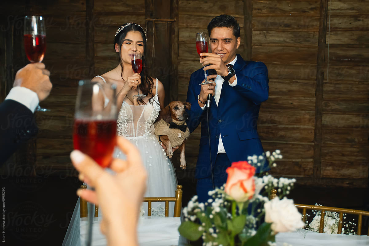 Newlyweds Toasting Champagne, Wedding Night Portrait