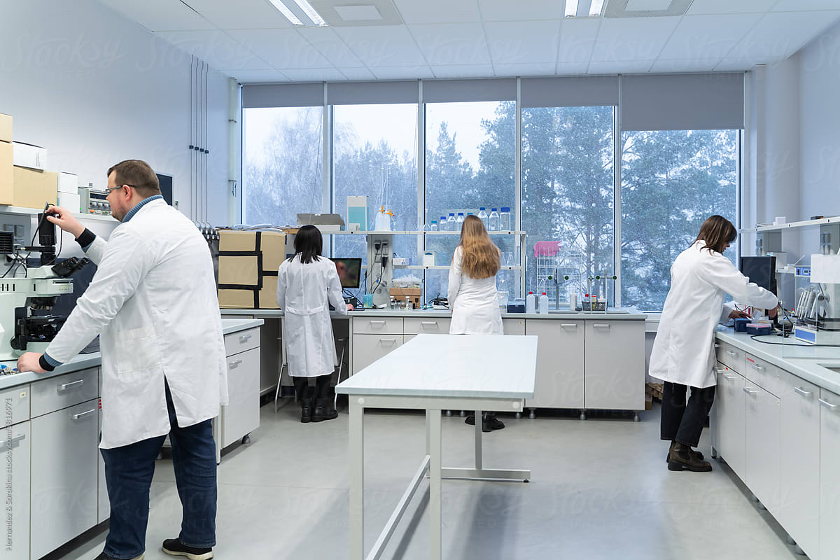 Scientists Working In Bright Lab Room