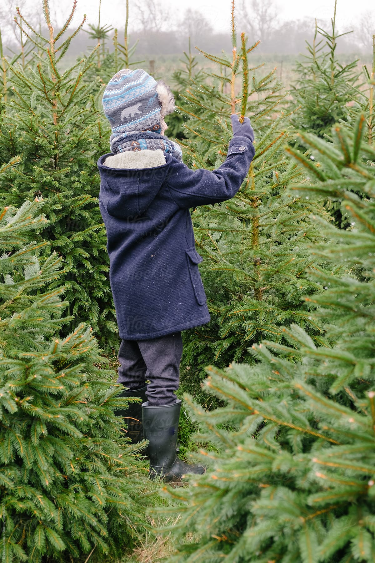 Young boy holds the branch of fir tree